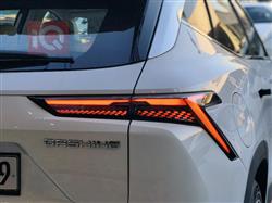 جيتور داشينج